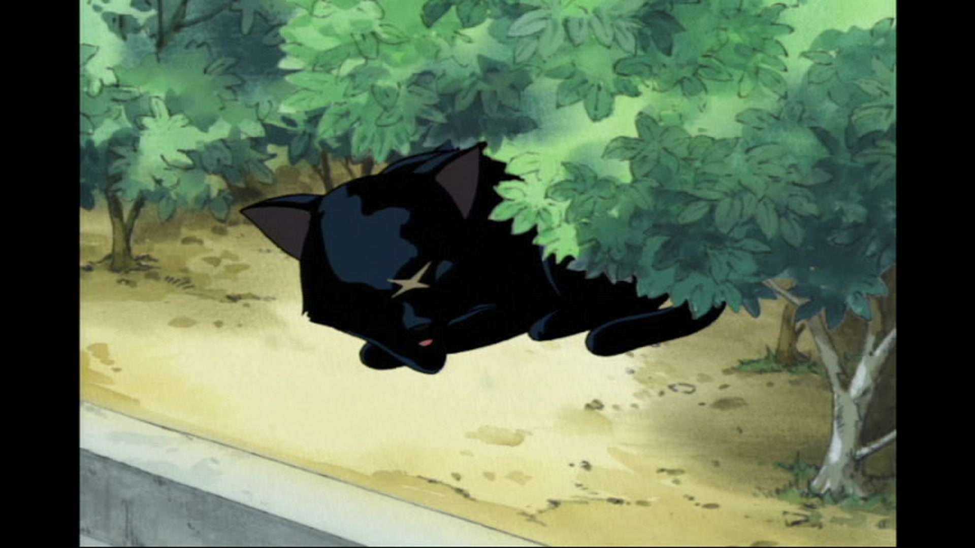 School Rumble - 1 Épisode 4 : Le cochon grogne. Le chat miaule. La ...